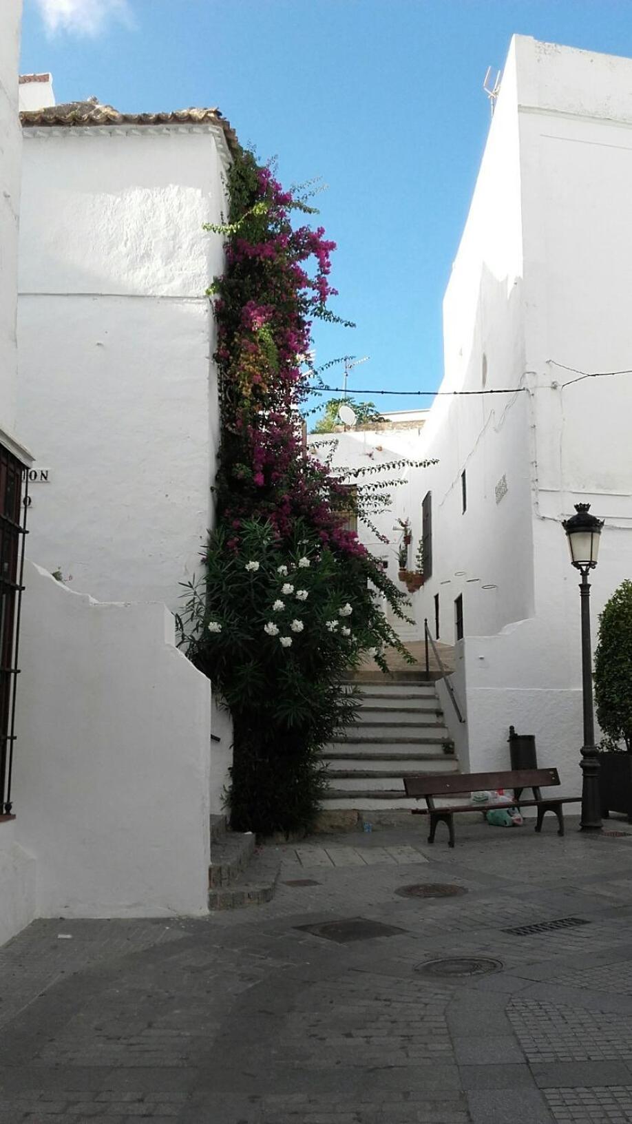 Casa Calle Alta Maria Bajo Vejer de la Frontera Exteriör bild